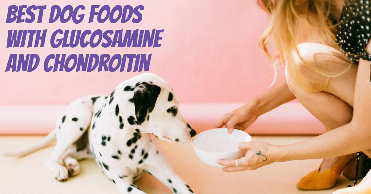 The 8 Best Dog Foods with Glucosamine and Chondroitin Dog Endorsed