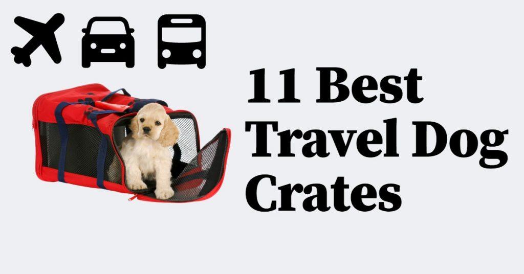 11 Best Travel Dog Crates Check Out My Top Picks Dog Endorsed