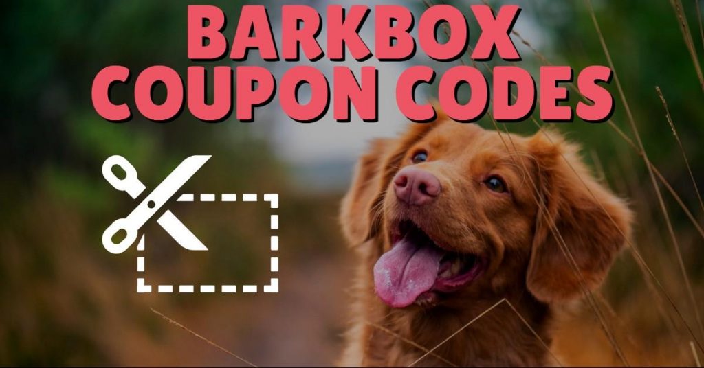 BarkBox Coupon Codes June 2023 Dog Endorsed