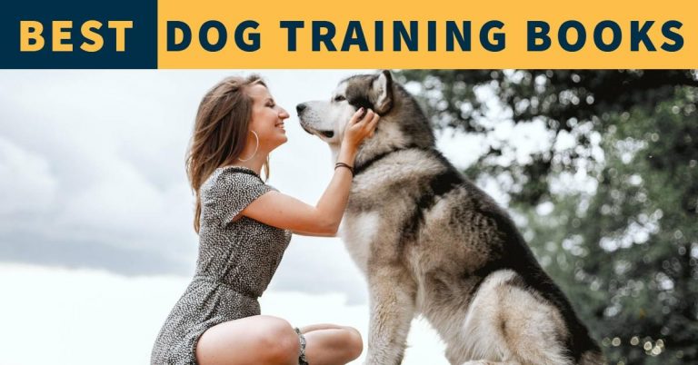 Best Dog Training Books