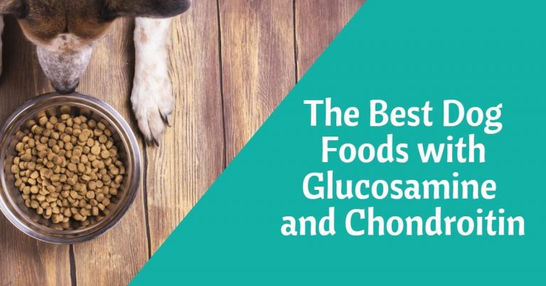 Best Dog Foods with Glucosamine and Chondroitin