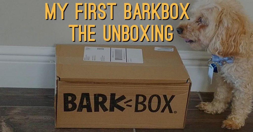My First BarkBox: The Unboxing - Dog Endorsed