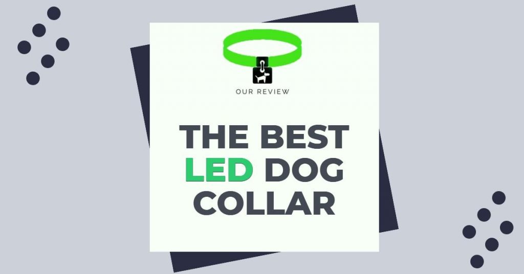 Top 9 Picks For Best LED Dog Collar Light Up and Glow In the Dark