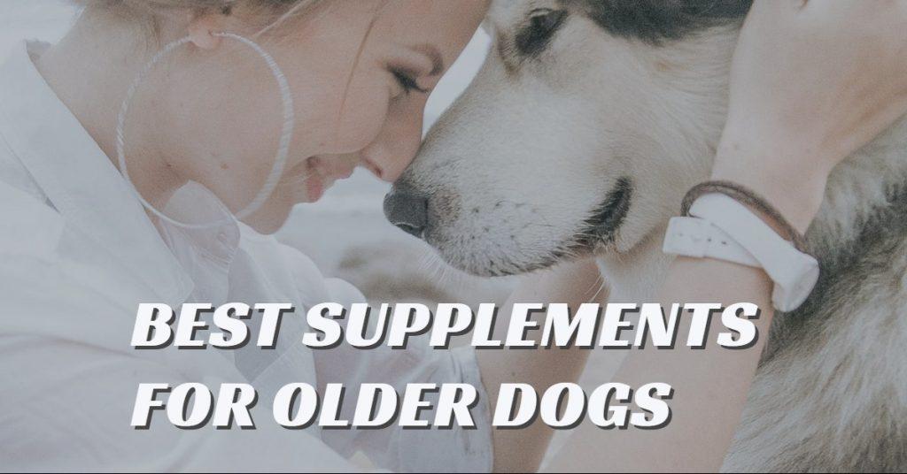 7 of the Best Supplements for Older Dogs Dog Endorsed