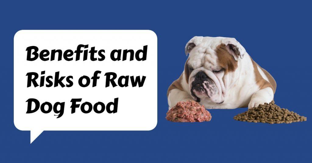 What Are The Benefits and Risks of Raw Dog Food? Dog Endorsed