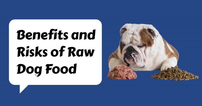 Benefits and Risks of Raw Dog Food