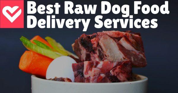 5 Best Raw Dog Food Delivery Services Dog Endorsed