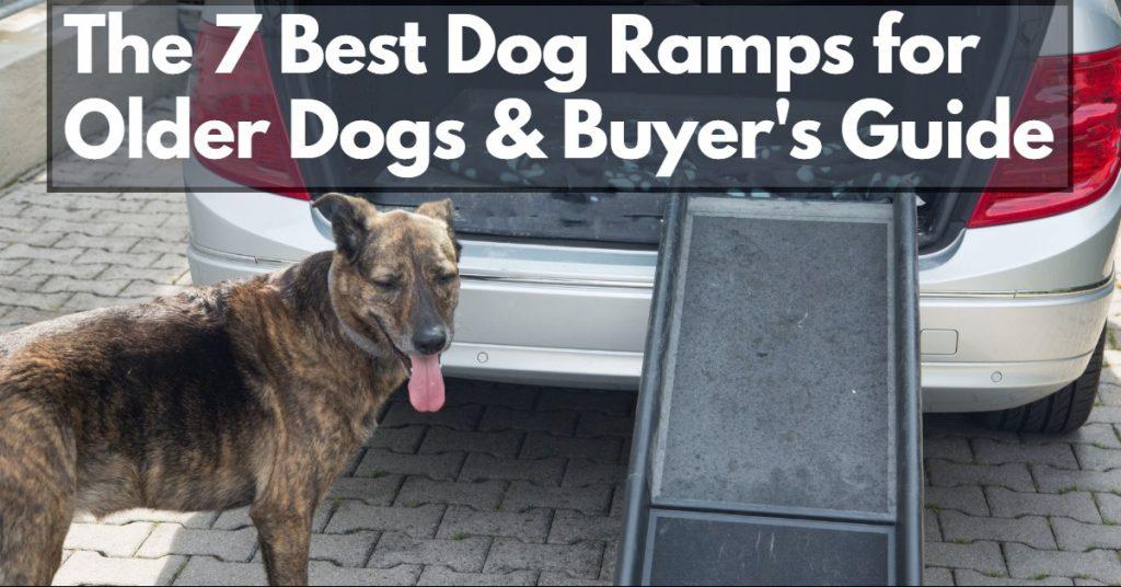 The 7 Best Dog Ramps for Older Dogs Dog Endorsed