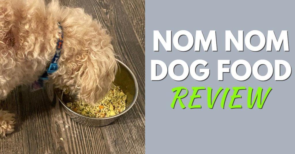 The Ultimate Nom Nom Dog Food Review (2023)