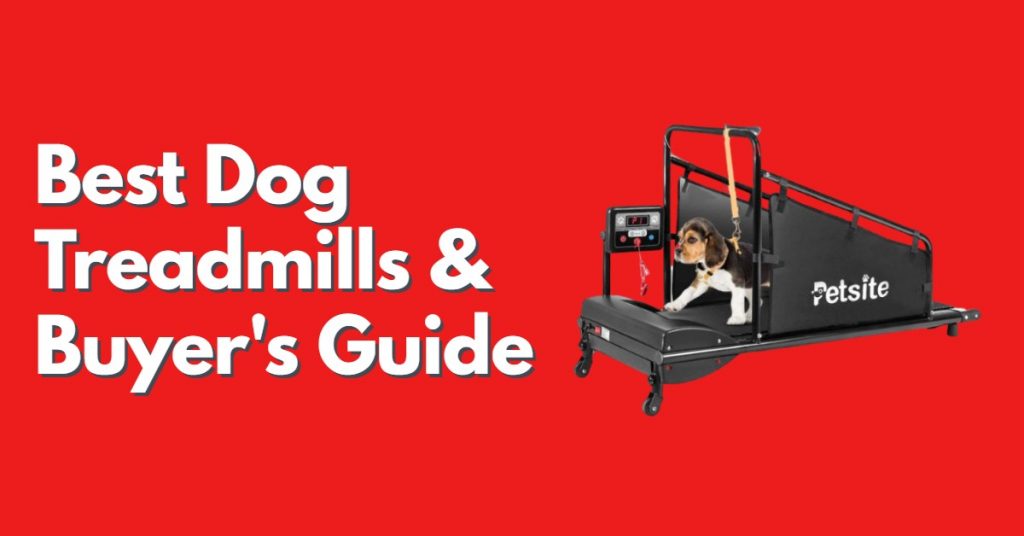 10 Best Dog Treadmills and Buyer’s Guide Dog Endorsed