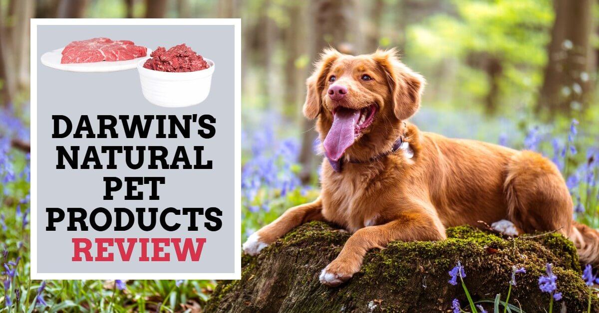 Darwin s Natural Pet Products Review Dog Endorsed