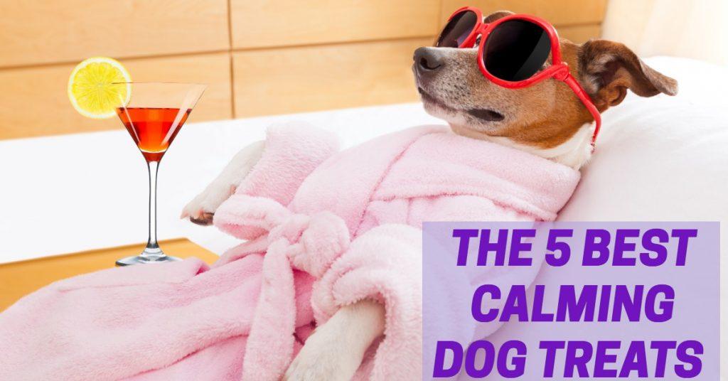 The 5 Best Calming Dog Treats Dog Endorsed