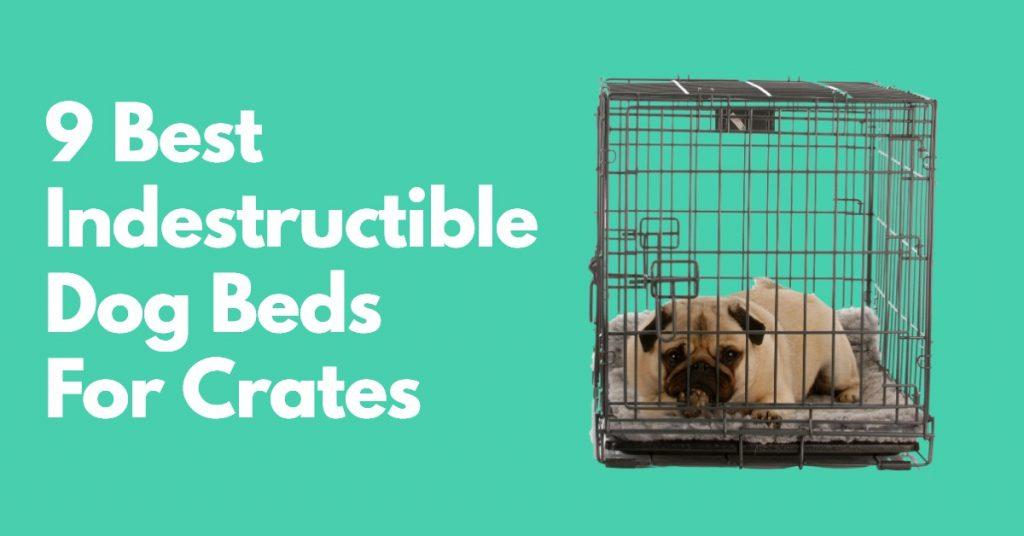 9 Best Indestructible Dog Beds for Crates Practically Chew Proof Pads