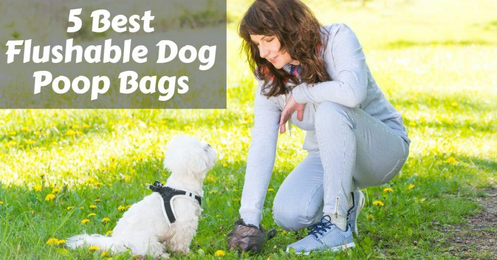 5 Best Flushable Dog Poop Bags No More Extra Trash! Dog Endorsed