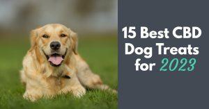 User Reviews and Feedback on Nufarm CBD Gummies 1000mg