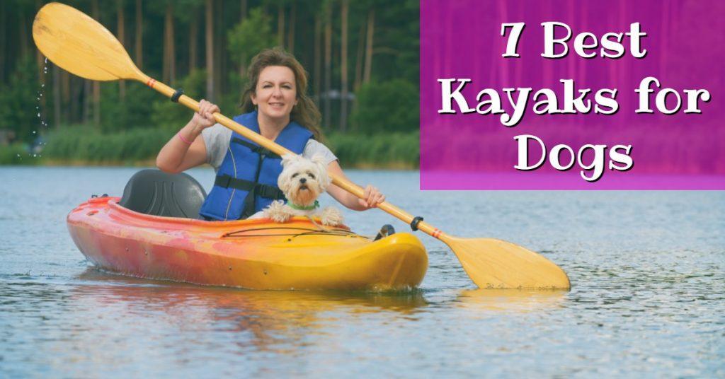 7 Best Kayaks for Dogs Everything You Need To Know Dog Endorsed
