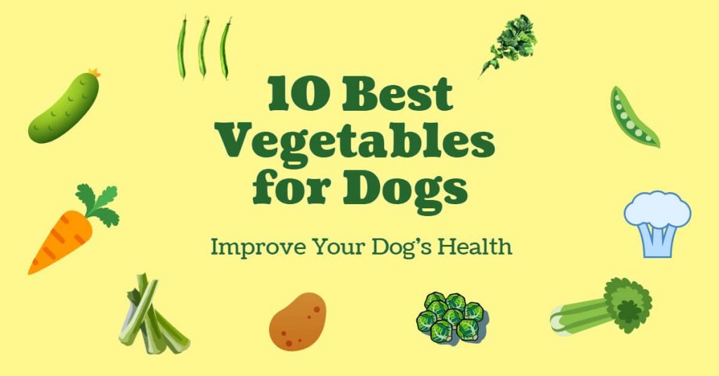 10 Best Vegetables for Dogs What Are They? Dog Endorsed