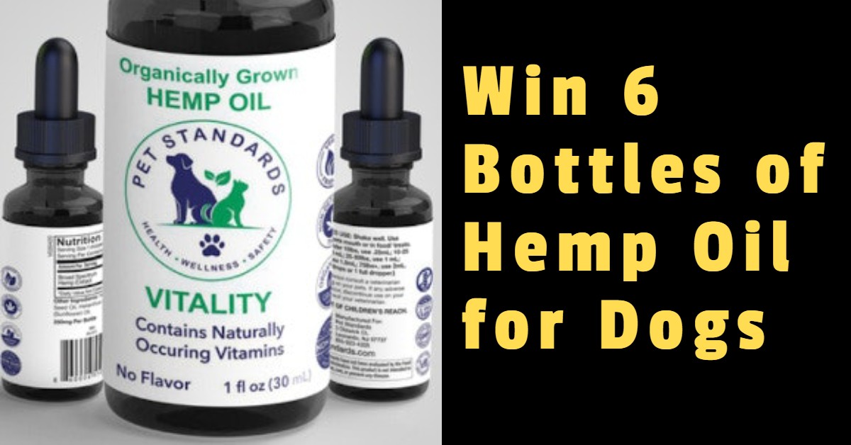 Win 6 Bottles of Hemp Oil for Dogs