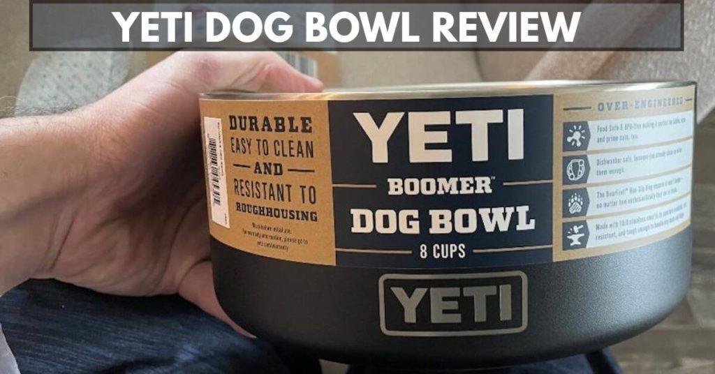 Yeti Dog Bowl Review Is it Worth It? Dog Endorsed