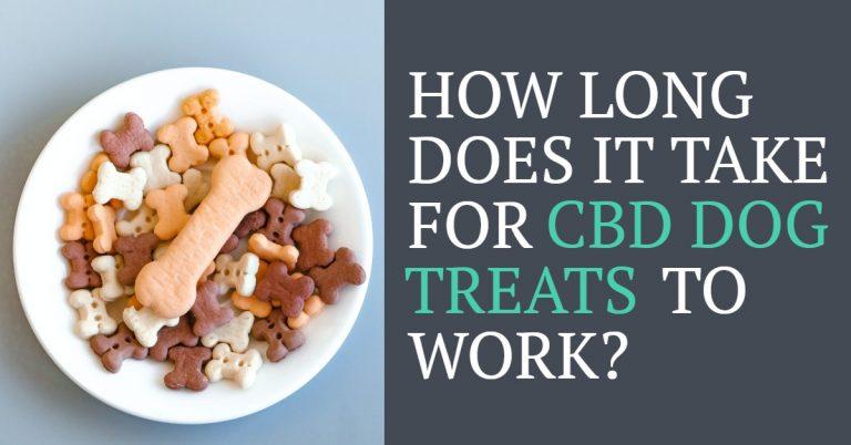 how long does it take for cbd dog treats to work