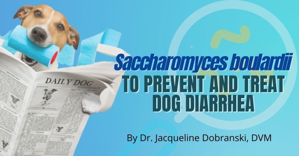 Saccharomyces boulardii to Prevent and Treat Dog Diarrhea Dog Endorsed