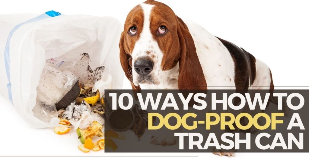 10 Ways How to DogProof a Trash Can Dog Endorsed