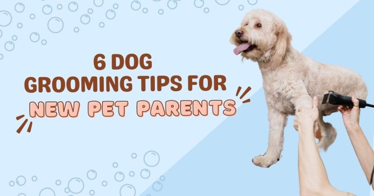 Dog Grooming Tips