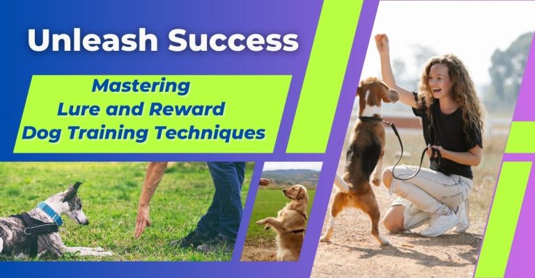 lure and reward dog training